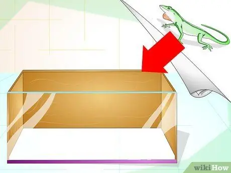 Создание среды обитания зеленых анолов Шаг 1