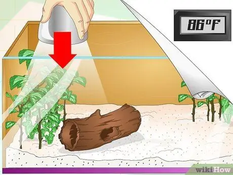 Создание среды обитания зеленых анолов Шаг 5