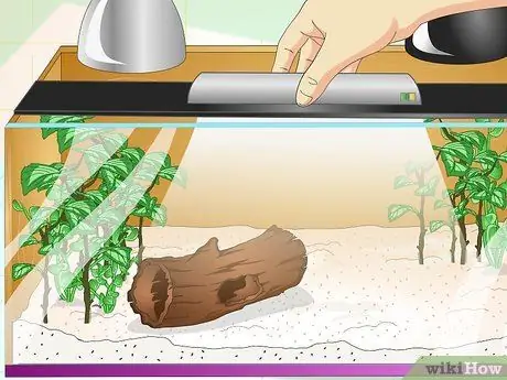 Создание среды обитания зеленых анолов Шаг 6