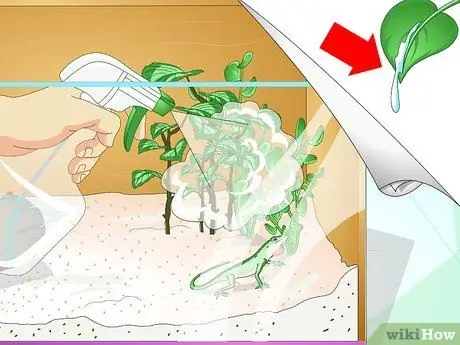 Создание среды обитания зеленых анолов Шаг 7