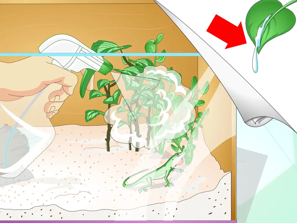 Как создать среду обитания для зеленого анола: 7 шагов (с иллюстрациями)