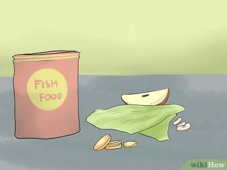 Покормить зеленую ящерицу аноле Шаг 5