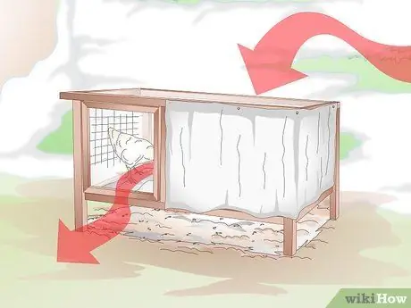 Лечить обморожение цыплят Шаг 11