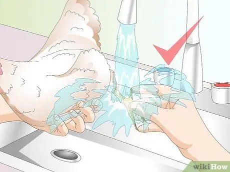 Лечить обморожение цыплят Шаг 6