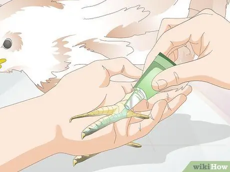 Лечить обморожение у цыплят Шаг 7