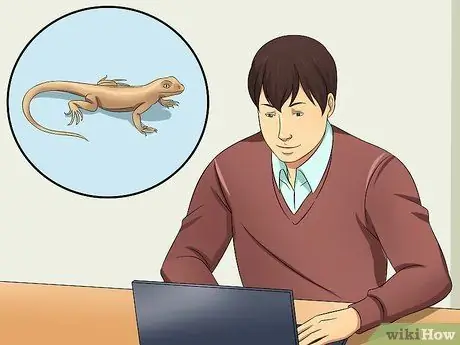 Поймай дикую ящерицу и держи ее Шаг 1