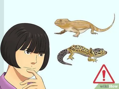 Поймай дикую ящерицу и держи ее Шаг 2