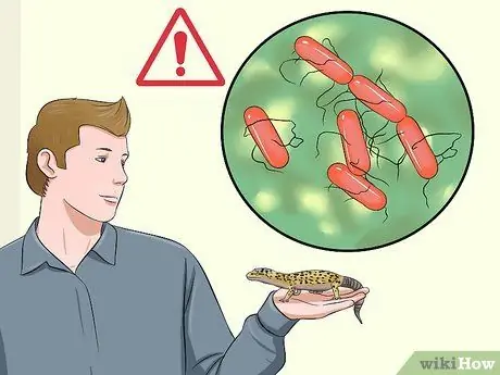 Поймай дикую ящерицу и держи ее Шаг 4