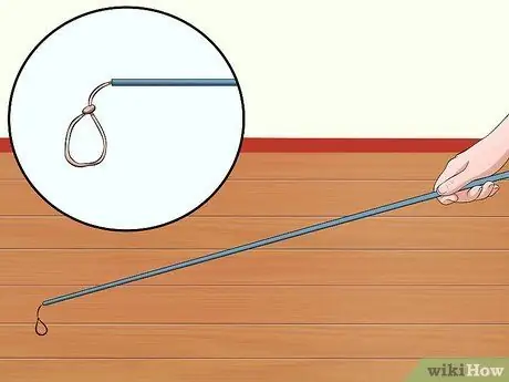 Поймай дикую ящерицу и держи ее Шаг 9