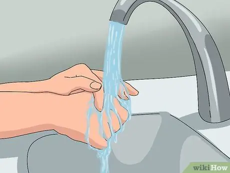 Приручить зеленого анола Шаг 8