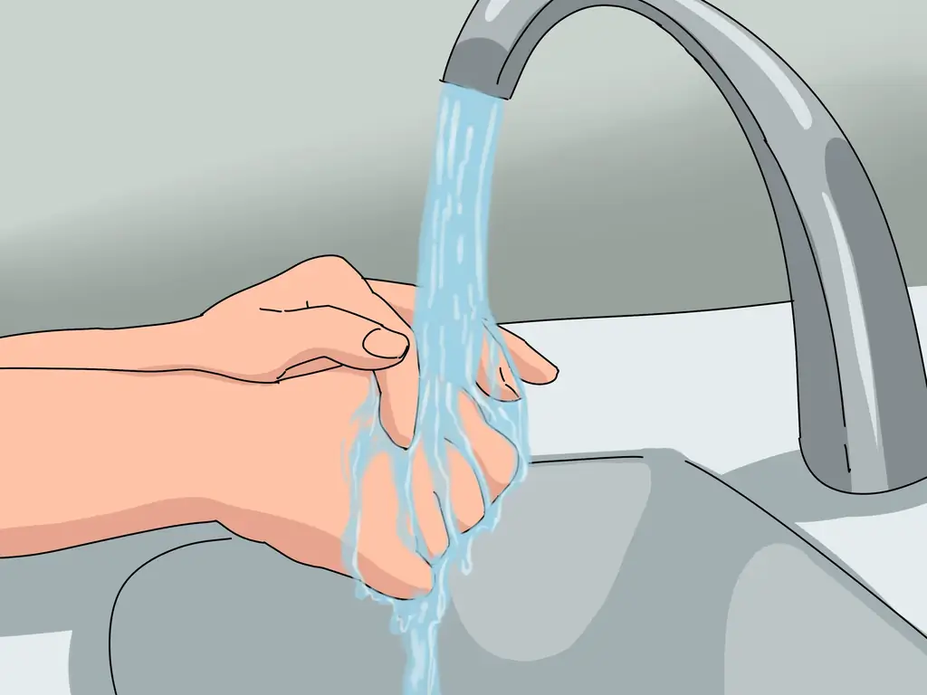 Как приручить зеленого анола: 8 шагов (с иллюстрациями)