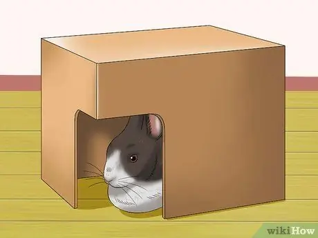 Успокой кролика Шаг 1