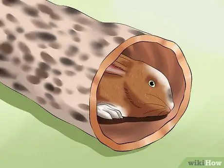 Успокой кролика Шаг 3