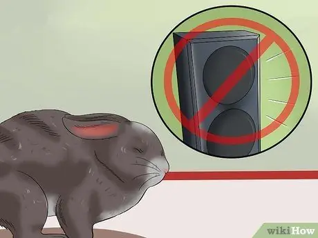 Успокой кролика Шаг 4