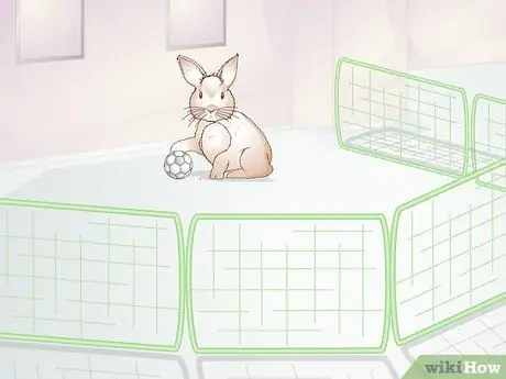 Учите кролика не жевать мебель Шаг 14