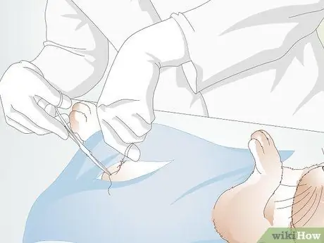 Учите кролика не жевать мебель Шаг 16