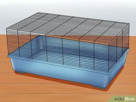 Уход за русским карликовым хомяком Шаг 2