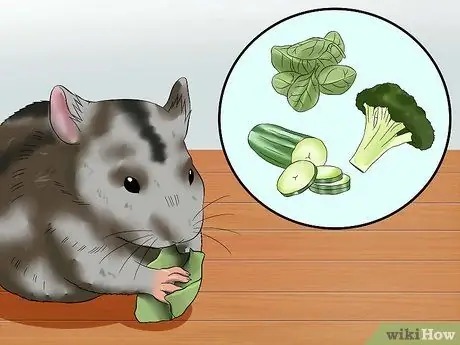 Уход за русским карликовым хомяком Шаг 6