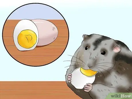 Уход за русским карликовым хомяком Шаг 7