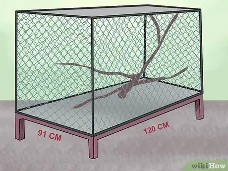 Держите зябликов вместе с другими видами птиц Шаг 8