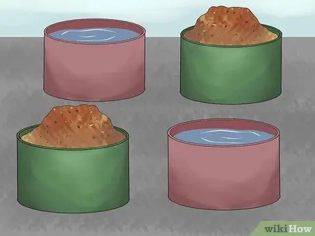 Держите зябликов вместе с другими видами птиц Шаг 9