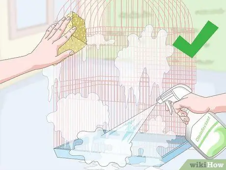 Лечить вшей и клещей у зябликов Шаг 10