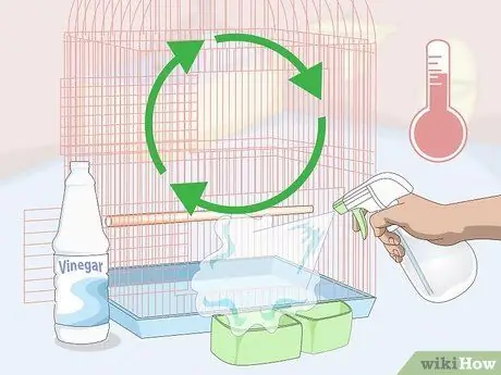 Лечить вшей и клещей у зябликов Шаг 11