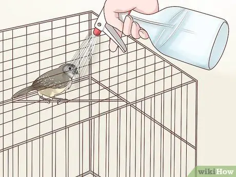 Держите зябликов в чистоте, шаг 1