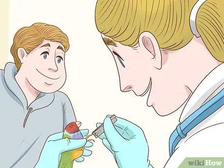 Держите зябликов в чистоте Шаг 9