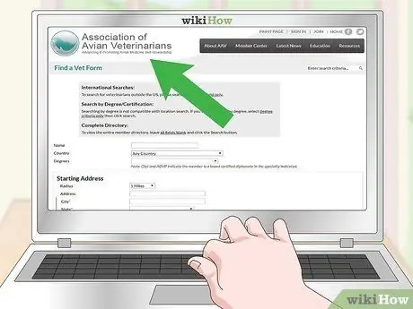 Лечить диарею у зябликов Шаг 11