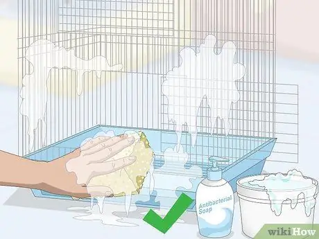 Лечить диарею у зябликов Шаг 5