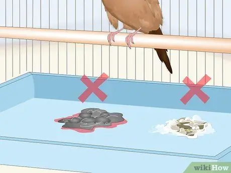 Лечить диарею у зябликов Шаг 8