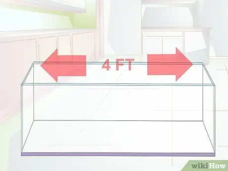 Порода малавийских цихлид Шаг 1