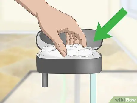 Разведение пресноводных рыб-ангелов, шаг 2