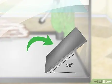 Порода пресноводных рыб-ангелов Шаг 6