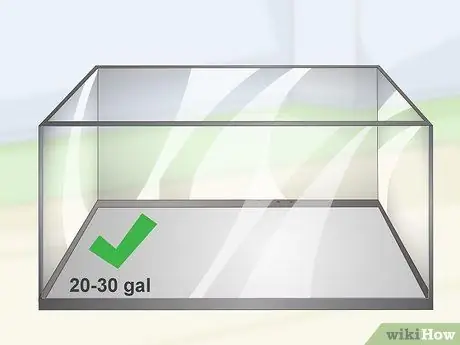 Уход за цихлидами мбуна Шаг 1