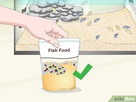 Уход за цихлидами мбуна Шаг 10