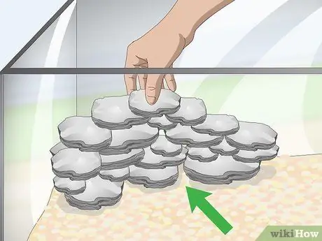 Уход за цихлидами мбуна Шаг 3