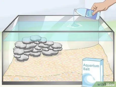 Уход за цихлидами мбуна Шаг 4