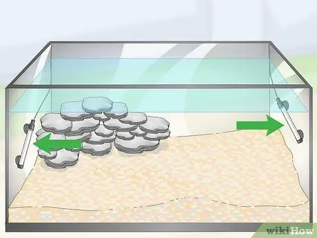 Уход за цихлидами мбуна Шаг 5