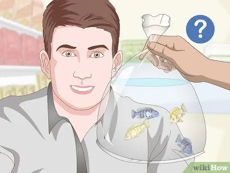 Уход за цихлидами мбуна Шаг 8