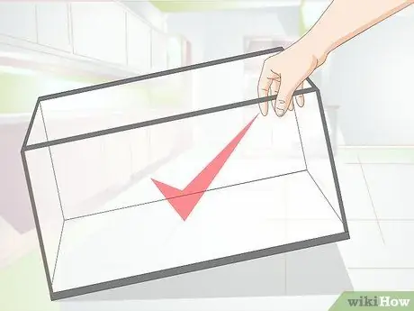 Держите немецких цихлид синего барана Шаг 6