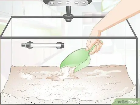 Держите немецких цихлид синего барана Шаг 8