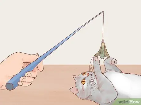 Приветствовать кошку Шаг 11