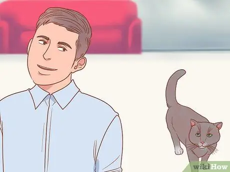 Приветствовать кошку Шаг 12