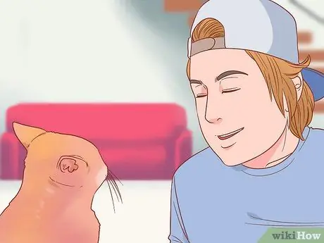 Приветствовать кошку Шаг 5