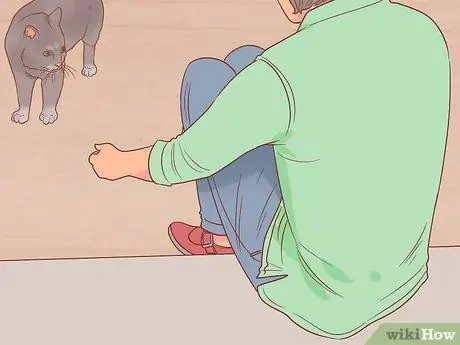 Приветствовать кошку Шаг 6