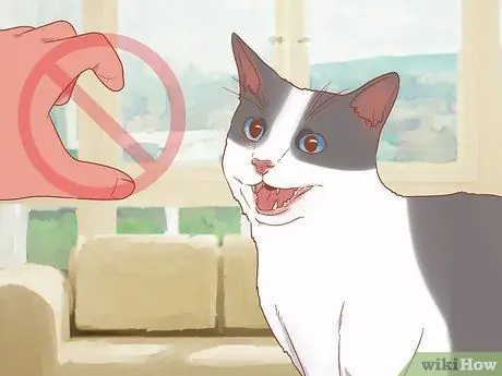 Приветствовать кошку Шаг 9