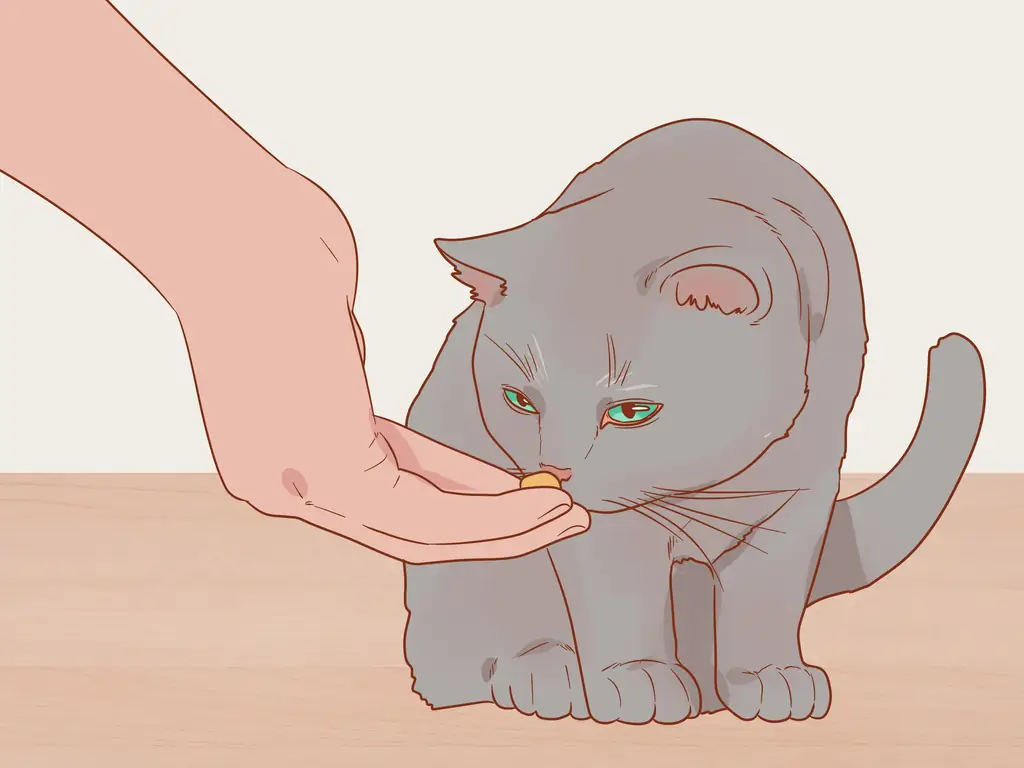 Как поприветствовать кошку: 14 шагов (с картинками)