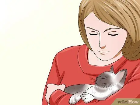 Заставьте сварливого кота понравиться вам Шаг 12